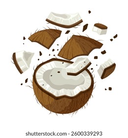 Illustration of broken coconut scattered, isolated on white background.