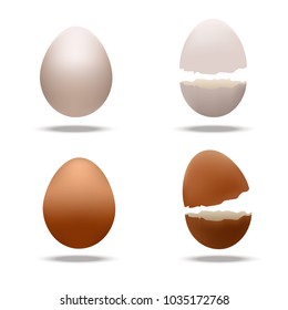 Illustration of a broken egg, flat design, eggshell on white background