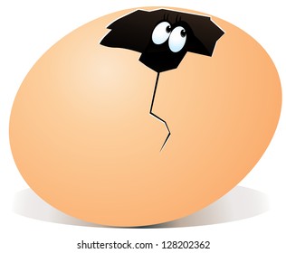 illustration of broken egg with surprise inside