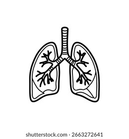 Illustration of Bronchus Splitting Inside the Human Lung