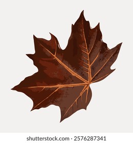 Illustration of a brown autumn leaf with detailed veins. The leaf is brown, showcasing autumn colors. A single autumn leaf, rich brown tones, detailed veins. Vintage art, isolated vector element.