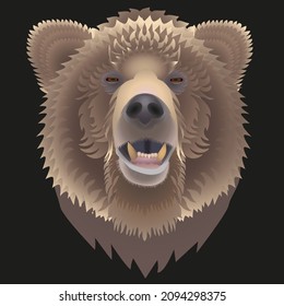illustration of a brown bear head on a black background