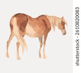 Illustration of a brown and beige horse standing. The horse is depicted in a side view, showcasing its mane and tail. Artistic rendering of a horse. Vintage horse illustration vector.