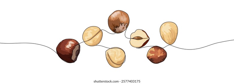 Illustration of brown and beige nuts. Vector graphic design element for food-related decoration and packaging. Continuous line drawing vector illustration. Editable stroke