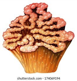 Illustration of a brown coral reef on a white background