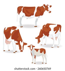 illustration. Brown cow on white background.