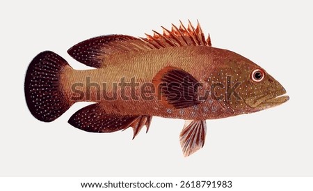 Illustration of a brown fish with spiky fins and spotted scales. The fish has a prominent eye and detailed texture. Fish illustration with brown and spotted scales. Vintage fish illustration vector.