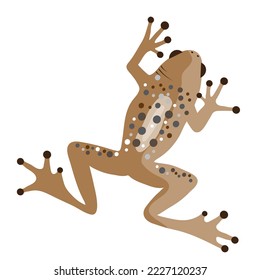 Illustration of brown frog. Symbol of lake animal and wild nature on white background.