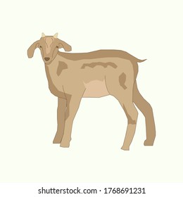 Illustration of a brown goat with a small horn