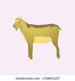 Illustration of a brown goat with a small horn