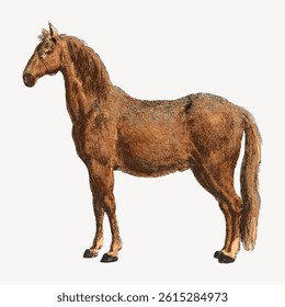 Illustration of a brown horse standing. The horse is depicted in a side view. Brown horse with a textured coat. The horse is standing still. Vintage  illustration vector.