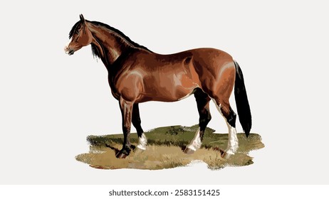 Illustration of a brown horse standing on grass. The horse has a glossy brown coat and a black mane. Brown horse, standing on grass. Vintage horse illustration isolated on white, vector.