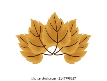 illustration of brown leaves with autumn theme, on white background