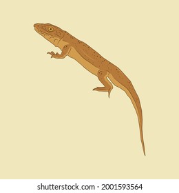 Illustration of a brown lizard with a long tail, World Lizard Day