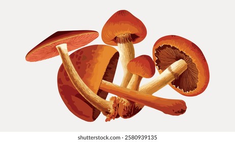 Illustration of brown mushrooms with detailed caps and stems. Mushrooms are grouped together. Brown mushrooms on a light background. Detailed mushroom art. Vintage food illustration isolated, vector.