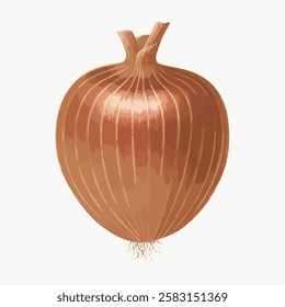 Illustration of a brown onion with detailed texture. The onion is depicted with a focus on its layers and natural color. Onion illustration on a plain background. Vintage vegetable illustration vector