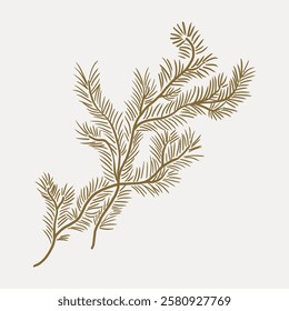 Illustration of a brown pine branch with detailed needles on a light background. Pine branch art, detailed pine needles, brown pine illustration. Vintage botanical leaf illustration isolated, vector.