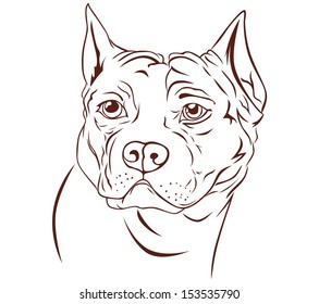 illustration brown pitbull head