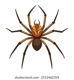 Illustration of Brown Recluse Spider Isolated on white