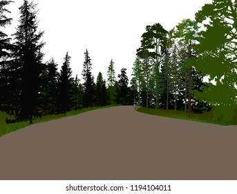illustration with brown road in forest isolated on white background