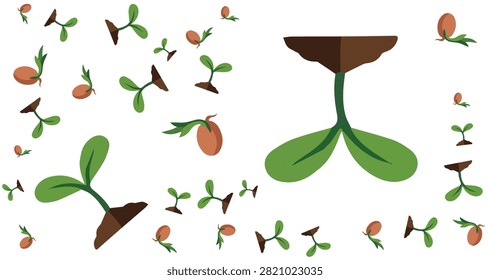 Illustration of brown seeds germinating into green seedlings with cotyledon leaves emerging from brown soil in multiple growth phases