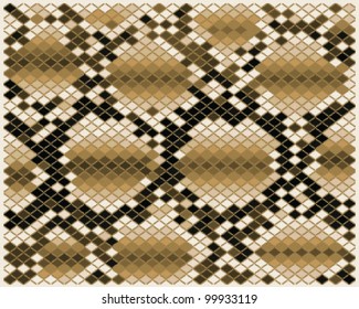 Illustration of brown snake skin-vector