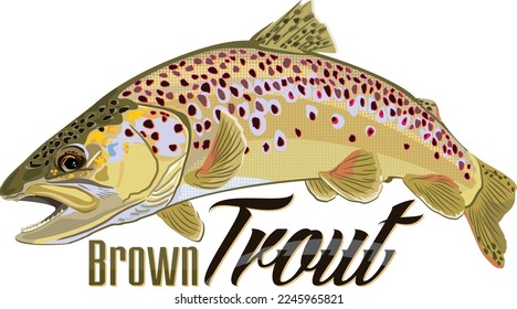 Illustration Brown Trout Fish River Monster with Artistic Text