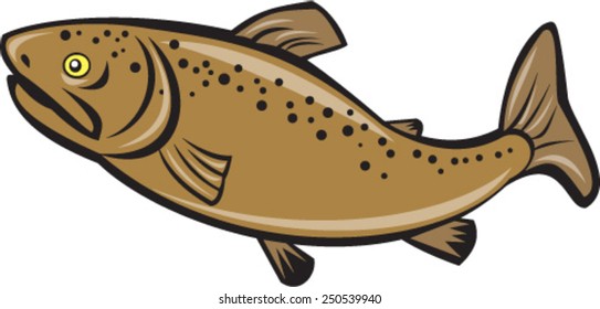 Illustration of a brown trout spotted fish viewed from the side on isolated white background done in cartoon style.