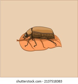 Illustration of brown wood beetle on dry leaf.