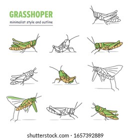 Illustration Of Brown-green Grasshopper With Various Poses Of Flying And Alighting. With A Minimalist Style And Outline. Vector