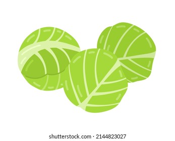 Illustration of brussels sprouts food. - Shutterstock ID 2144823027