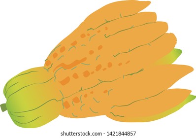 Illustration of the Buddha's hand