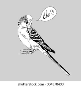 illustration of budgie with text bubble black and white