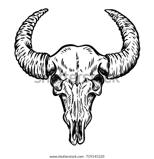 Illustration of buffalo skull isolated on white background. Design