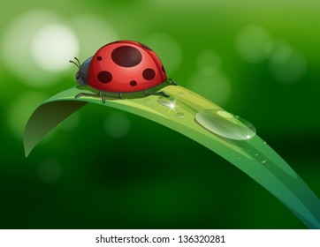 Illustration of a bug above a long leaf with dews
