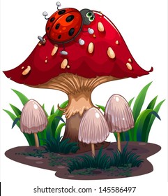 Illustration of a bug crawling at the red giant mushroom on a white background