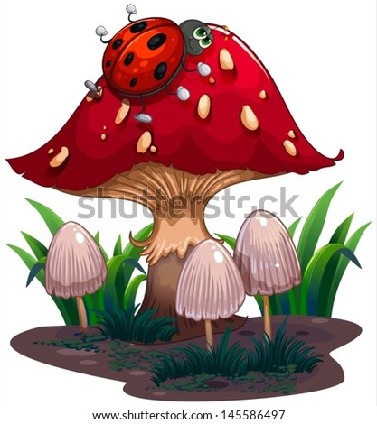 Similar – Image, Stock Photo stone mushroom Mushroom