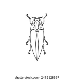 Illustration bug line sketch with blank background