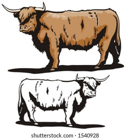 Illustration of a bull.