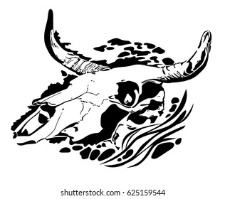 Illustration of bull scull
