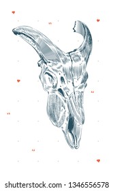 illustration with bull skull hand drawn white background