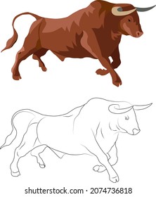 illustration of a bull for stock market
