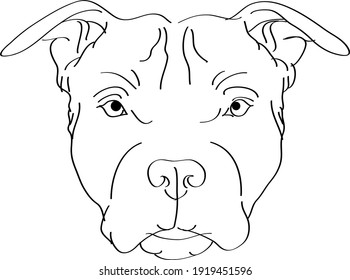 Illustration of a bull terrier head with black lines on a white background