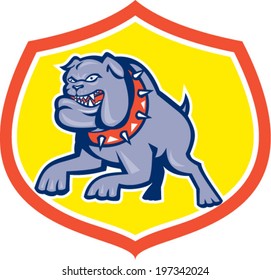 Illustration of an bulldog dog mongrel attacking set inside shield crest done in retro style on isolated background. 