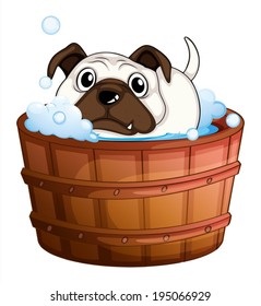 Illustration of a bulldog inside the bathtub on a white background