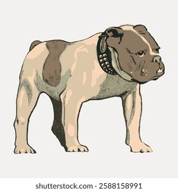 Illustration of a bulldog with a spiked collar. The bulldog stands confidently, showcasing its muscular build. Bulldog art with a vintage style. Vintage animal illustration vector.