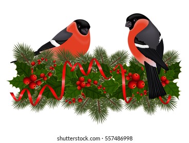 Illustration of bullfinch birds on fir tree, holly berry branches with streamers isolated
