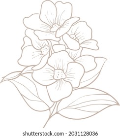 Illustration a bunch of beautiful flower