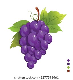 illustration of a bunch of black grapes, complete with green leaves