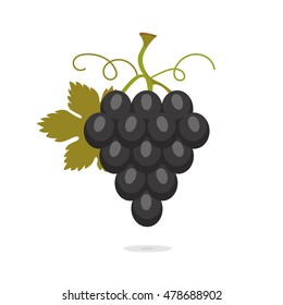 Illustration with bunch of dark grapes with leaf. Sweet fruit isolated on white background. Vector icons set